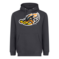 Smoke akron-rubber-ducks Heavyweight Hoodie - linhVisuals