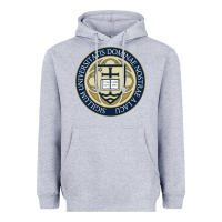 Heather Grey university dame Heavyweight Hoodie - linhVisuals