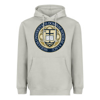Moon Dust university dame Heavyweight Hoodie - linhVisuals