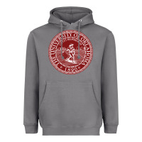 Storm university oklahoma Heavyweight Hoodie - linhVisuals