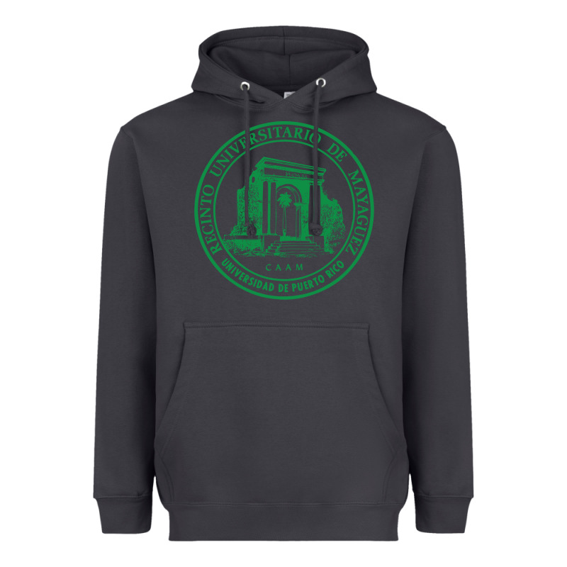 Upr At Mayaguez Heavyweight Hoodie by linhVisuals | Teevron