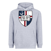 Heather Grey university catholic Heavyweight Hoodie - linhVisuals