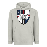 Moon Dust university catholic Heavyweight Hoodie - linhVisuals