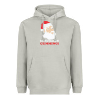 Moon Dust santa claus is cumming dirty humor Heavyweight Hoodie - linhVisuals