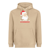 Mushroom santa claus is cumming dirty humor Heavyweight Hoodie - linhVisuals