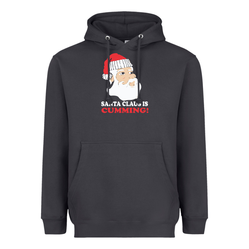 Santa Claus Is Cumming Dirty Humor Heavyweight Hoodie by linhVisuals | Teevron
