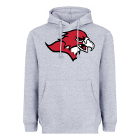 Heather Grey benedictine, mesa, college Heavyweight Hoodie - linhVisuals
