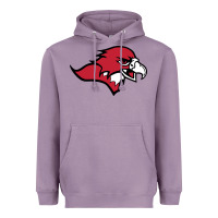 Lavender benedictine, mesa, college Heavyweight Hoodie - linhVisuals