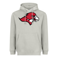 Moon Dust benedictine, mesa, college Heavyweight Hoodie - linhVisuals