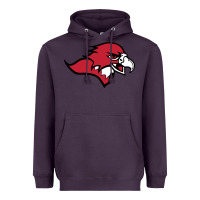 Plum benedictine, mesa, college Heavyweight Hoodie - linhVisuals