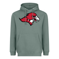 Sage benedictine, mesa, college Heavyweight Hoodie - linhVisuals
