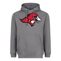 Benedictine, Mesa, College Heavyweight Hoodie | Teevron