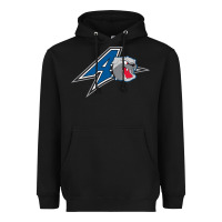 Unc Asheville Bulldogs Heavyweight Hoodie | Teevron