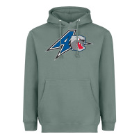 Sage unc asheville bulldogs Heavyweight Hoodie - linhVisuals
