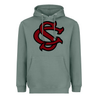 Sage usc baseball Heavyweight Hoodie - linhVisuals