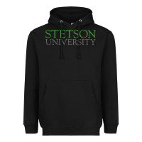 Black Stetson University Heavyweight Hoodie - linhVisuals
