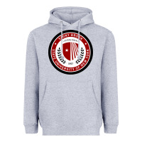Heather Grey Stony Brook University Heavyweight Hoodie - linhVisuals