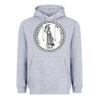 Heather Grey University of Virginia Heavyweight Hoodie - linhVisuals