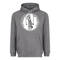 Storm University of Virginia Heavyweight Hoodie - linhVisuals