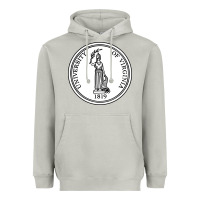 Moon Dust University of Virginia Heavyweight Hoodie - linhVisuals