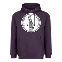 Plum University of Virginia Heavyweight Hoodie - linhVisuals