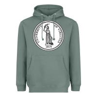 Sage University of Virginia Heavyweight Hoodie - linhVisuals