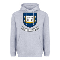 Heather Grey Yale University Heavyweight Hoodie - linhVisuals