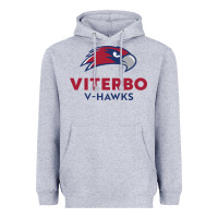 Heather Grey v-h4wks, viterbo, education Heavyweight Hoodie - linhVisuals