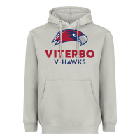Moon Dust v-h4wks, viterbo, education Heavyweight Hoodie - linhVisuals