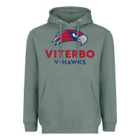 Sage v-h4wks, viterbo, education Heavyweight Hoodie - linhVisuals