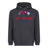 Smoke v-h4wks, viterbo, education Heavyweight Hoodie - linhVisuals