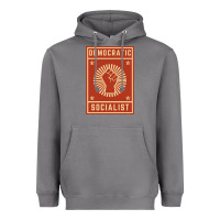 Storm democratic socialist Heavyweight Hoodie - linhVisuals