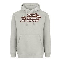 Moon Dust st. bonaventure bonnies Heavyweight Hoodie - linhVisuals