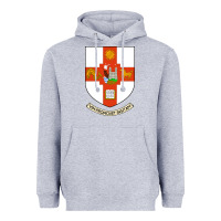 Heather Grey university bristol Heavyweight Hoodie - linhVisuals