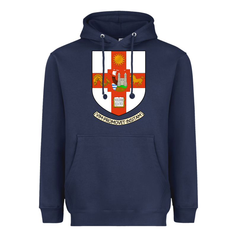 University Bristol Heavyweight Hoodie by linhVisuals | Teevron