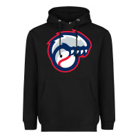 Black new hampshire fisher cats Heavyweight Hoodie - linhVisuals