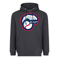Smoke new hampshire fisher cats Heavyweight Hoodie - linhVisuals