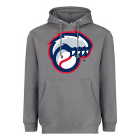 Storm new hampshire fisher cats Heavyweight Hoodie - linhVisuals