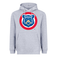 Heather Grey tennessee smokies Heavyweight Hoodie - linhVisuals