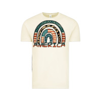 Vintage Arctic America rainbow Vintage Tee - FaDigitalArtStudio