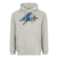 Moon Dust unc asheville bulldogs Heavyweight Hoodie - linhVisuals