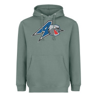 Sage unc asheville bulldogs Heavyweight Hoodie - linhVisuals