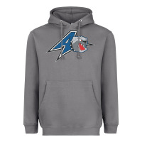 Storm unc asheville bulldogs Heavyweight Hoodie - linhVisuals