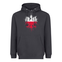 Smoke polish eagle  polish pride  polish flag  polish t shirt Heavyweight Hoodie - linhVisuals