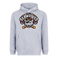 Sport American Heavyweight Hoodie | Teevron