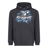 Smoke wilmington sharks Heavyweight Hoodie - linhVisuals