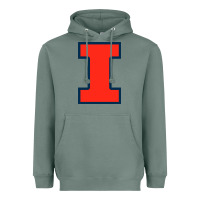 Sage illinois fighting illini Heavyweight Hoodie - linhVisuals