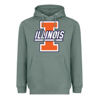 Sage illinois fighting illini Heavyweight Hoodie - linhVisuals