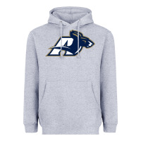 Heather Grey akron university zips Heavyweight Hoodie - linhVisuals