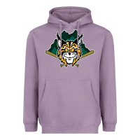 Lynchburg Hillcats Baseball Heavyweight Hoodie | Teevron